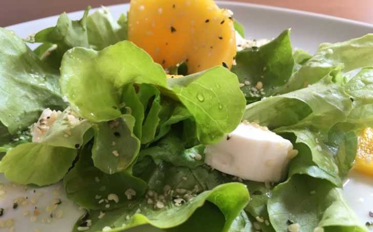 Jarní salát s mangem a citrónovým dresinkem